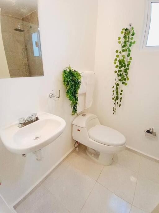 Apartamento Mayakoba Serenity - 10min - Wifi - Pool *